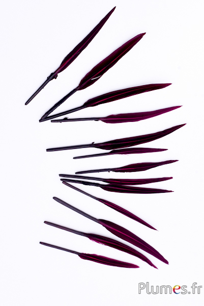 Oie Lame - 5-8 cm - bordeaux